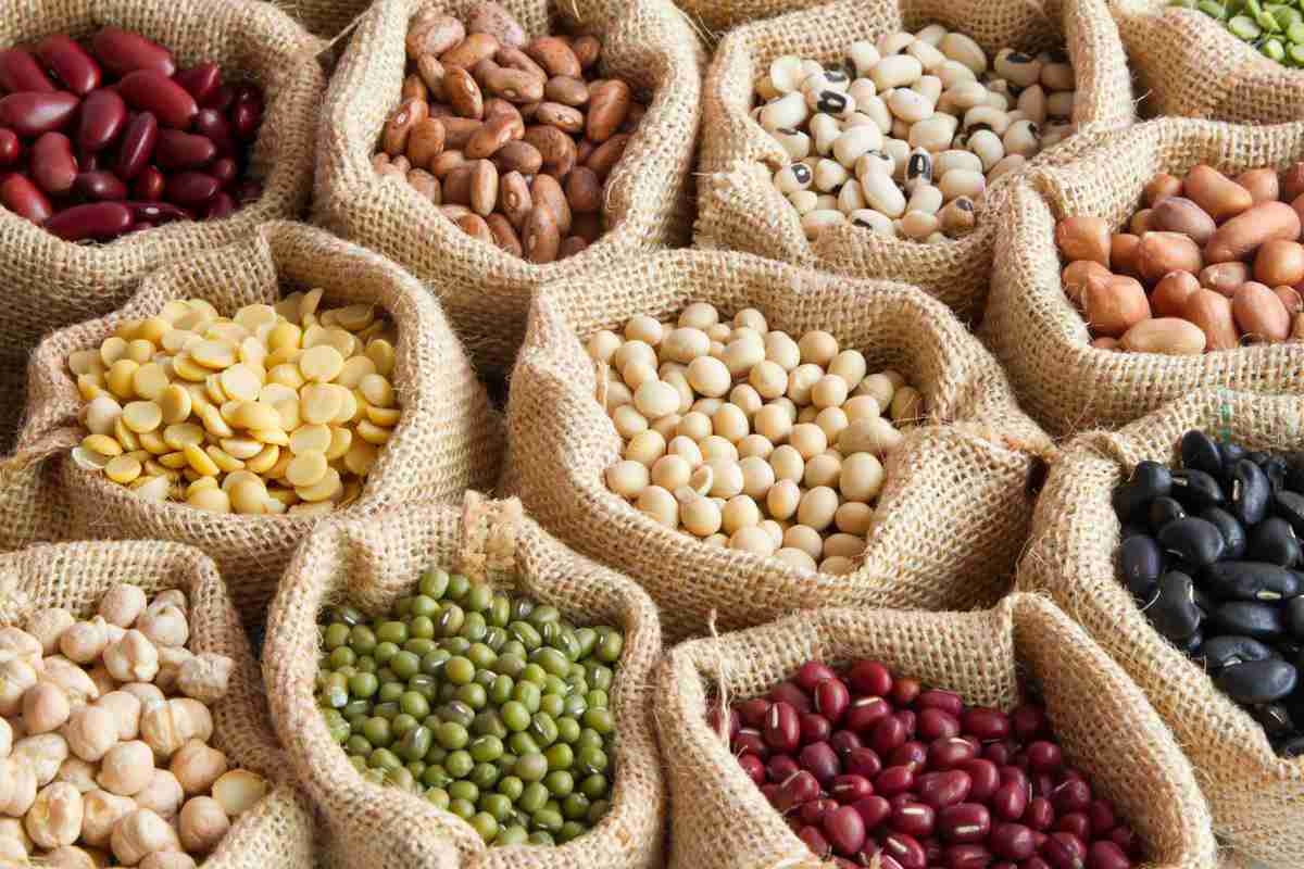 Variety of pulses and legumes