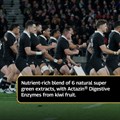 Elite All Blacks Performance Greens 