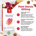 Plant Sterols 